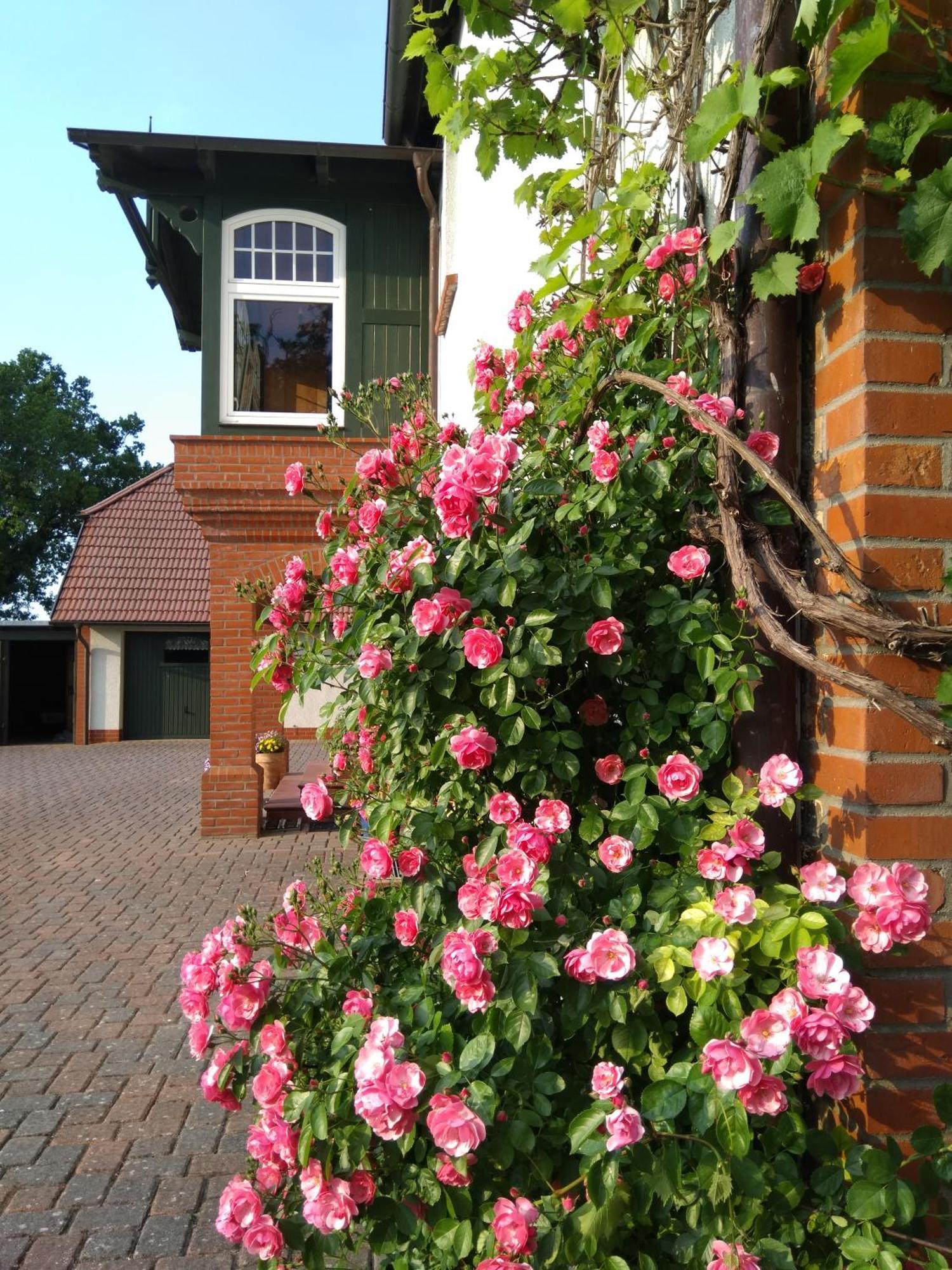 Landtraum Im Traumland Mecklenburg Apartment Warin Ngoại thất bức ảnh